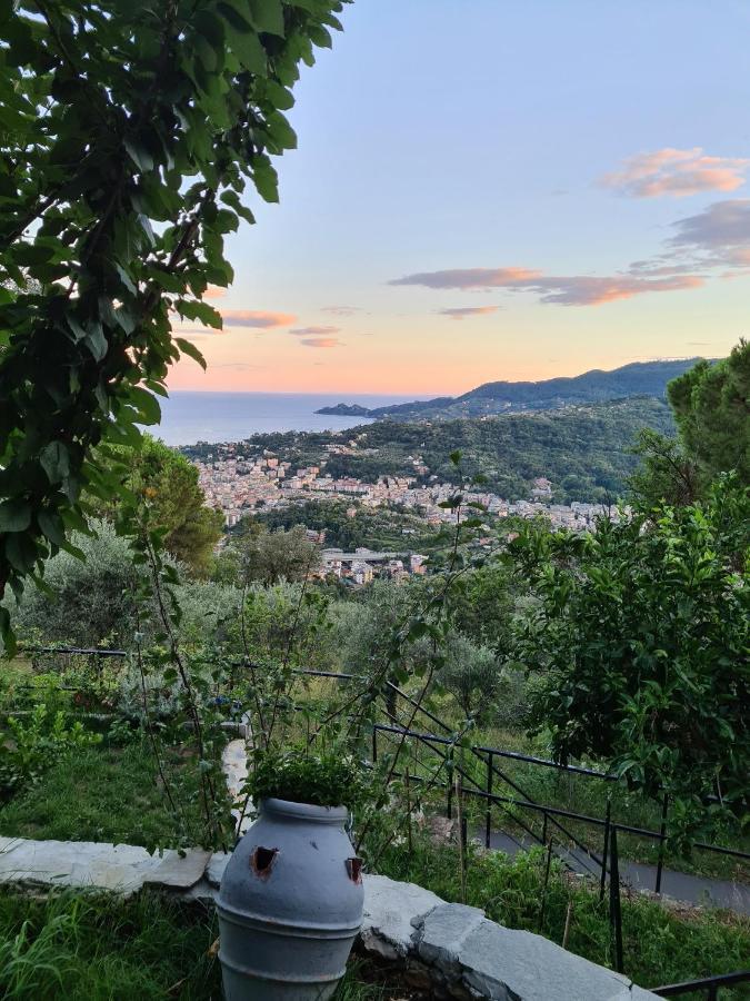 Vista Mare Portofino By Portofinovacanze Gravero Экстерьер фото